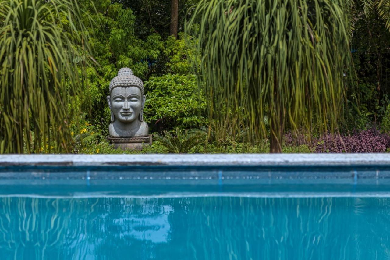 Saffronstays Aura, Alibaug - Luxury Pool Villa With A Game Room And Spacious Lawn Alībāg Dış mekan fotoğraf